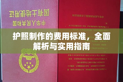 镇安护照制作的费用标准，全面解析与实用指南